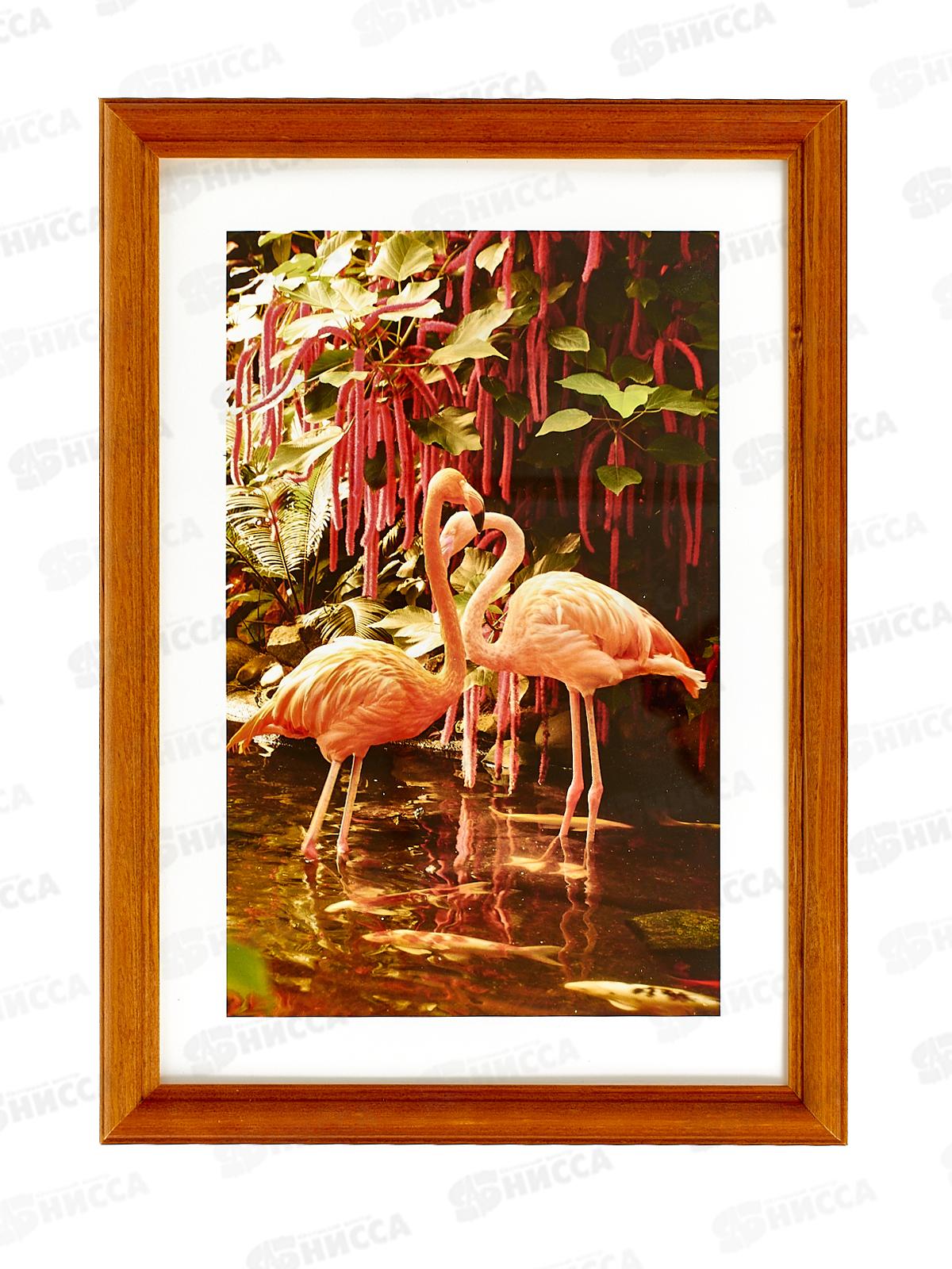 Фоторамка 21*30 клён, 2N92 *12