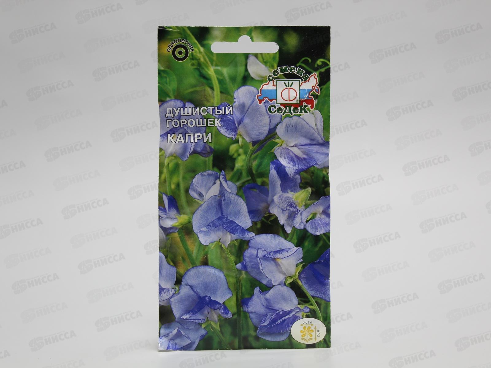 Душистый Горошек Капри (светло-голубой) (Евро, 1) СеДек *10 +