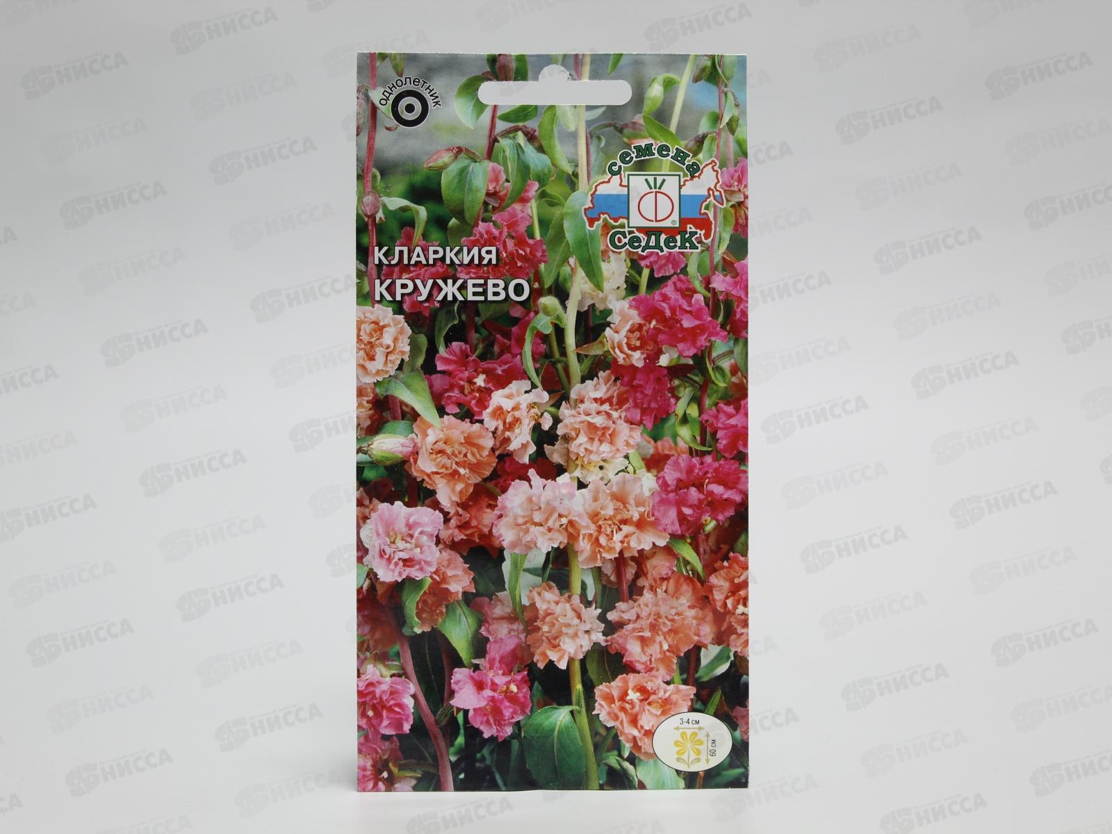 Кларкия Кружево (высокорослая смесь) (Евро, 0,25) СеДек *10 +