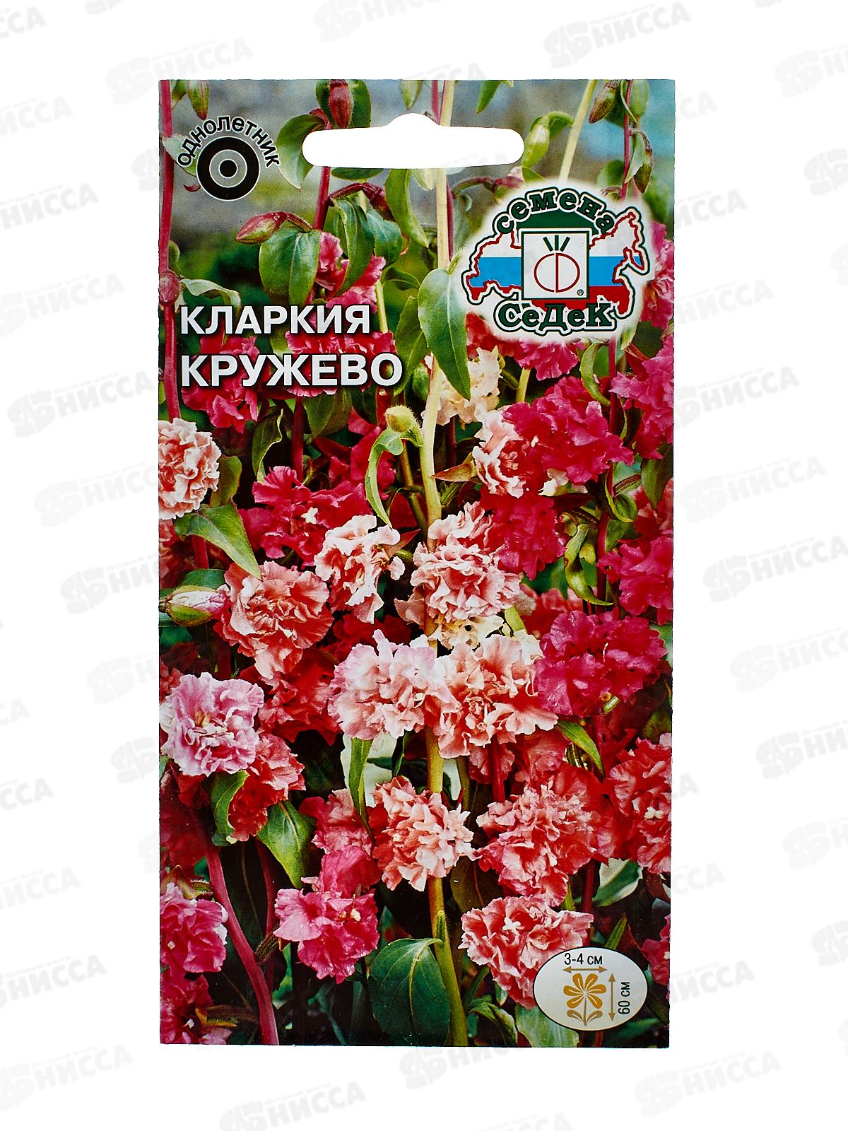 Кларкия Кружево (высокорослая смесь) (Евро, 0,25) СеДек *10 +