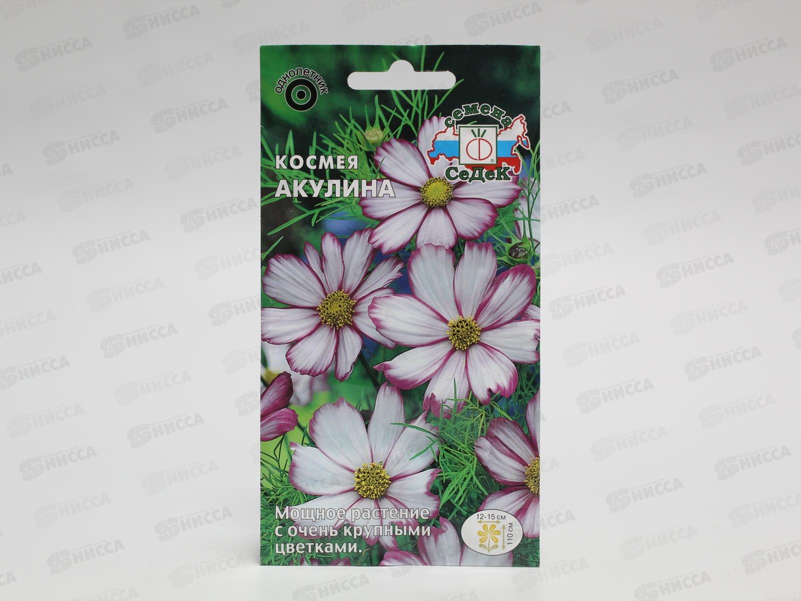 Космея Акулина (бипиннантус, белая с розовым кантом) (Евро,0,5) СеДек *10 +