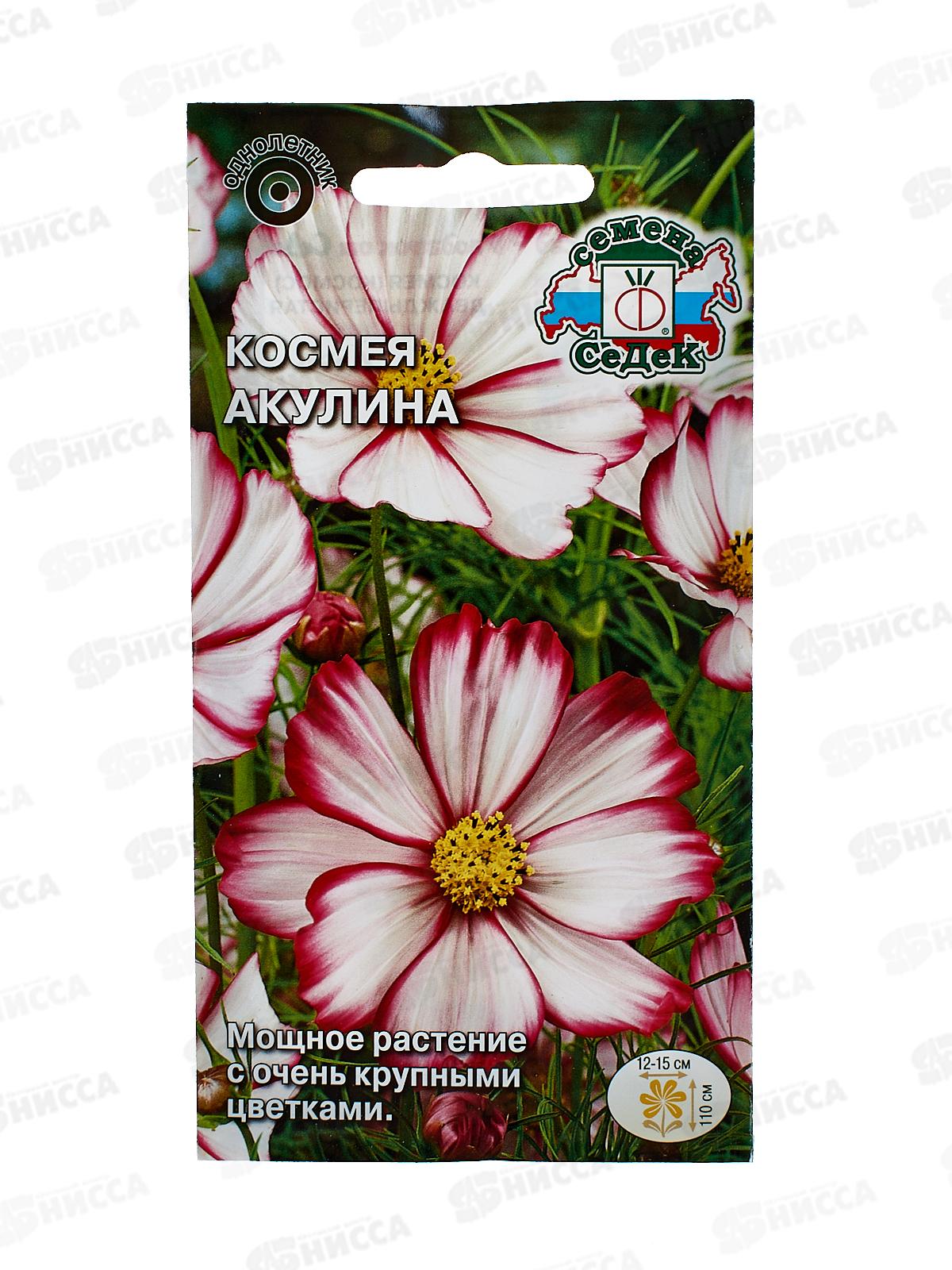 Космея Акулина (бипиннантус, белая с розовым кантом) (Евро,0,5) СеДек *10 +