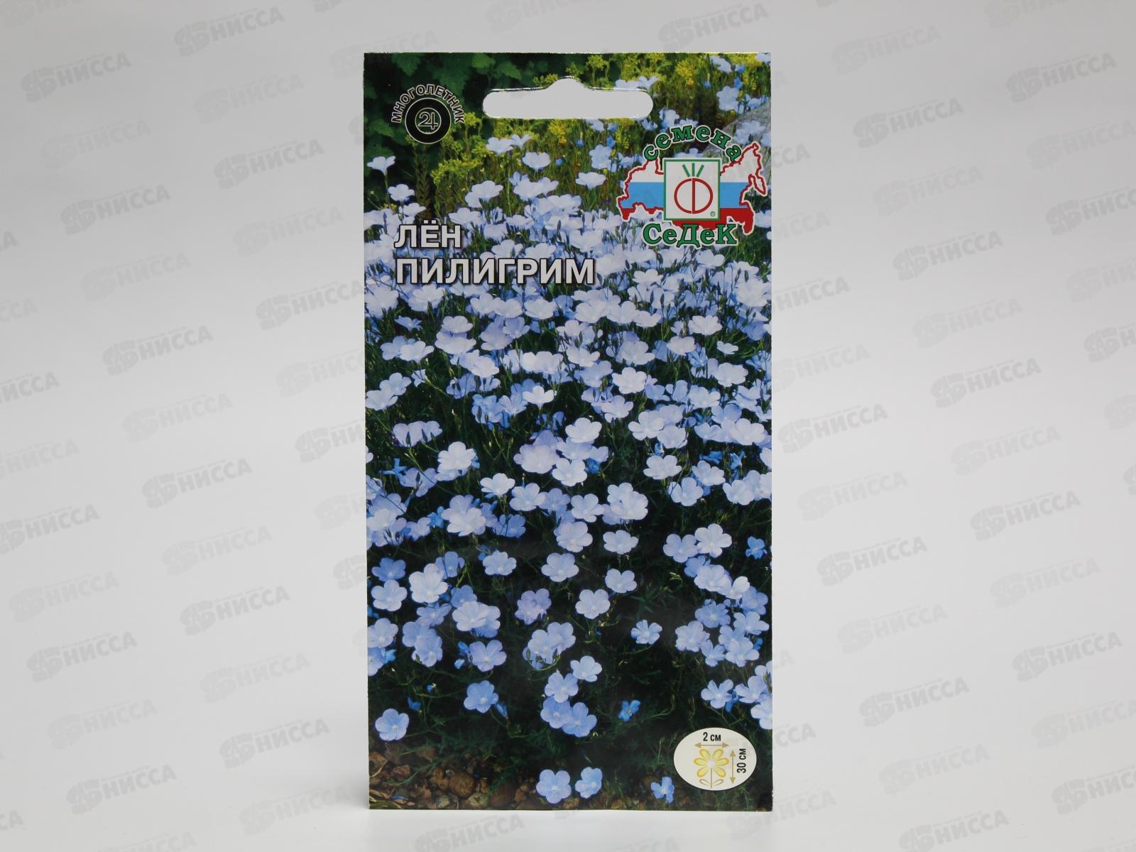 Лён Пилигрим (многолетняя, нежно-голубой) (Евро, 0,1) СеДек *10 +