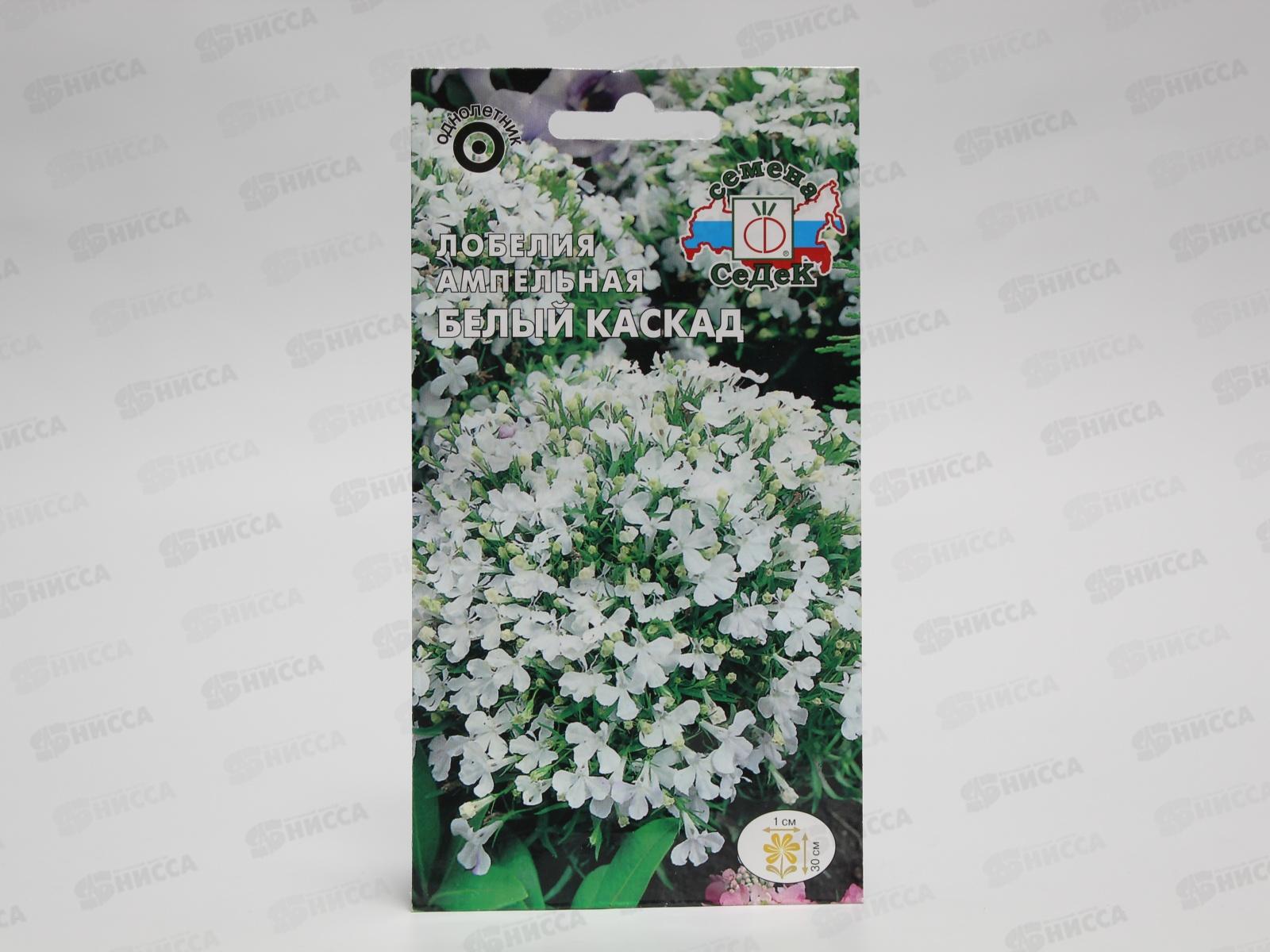 Лобелия Белый Каскад (ампельная) (Евро,0,06) СеДек *10 +