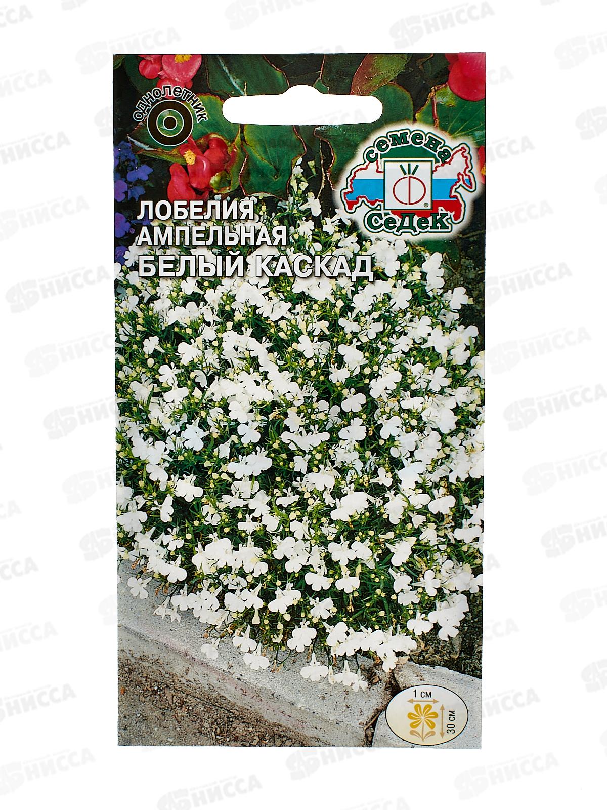 Лобелия Белый Каскад (ампельная) (Евро,0,06) СеДек *10 +