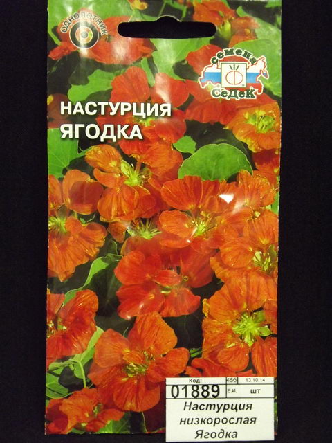 Настурция низкорослая Ягодка  (вишневая) (Евро,1)СеДек