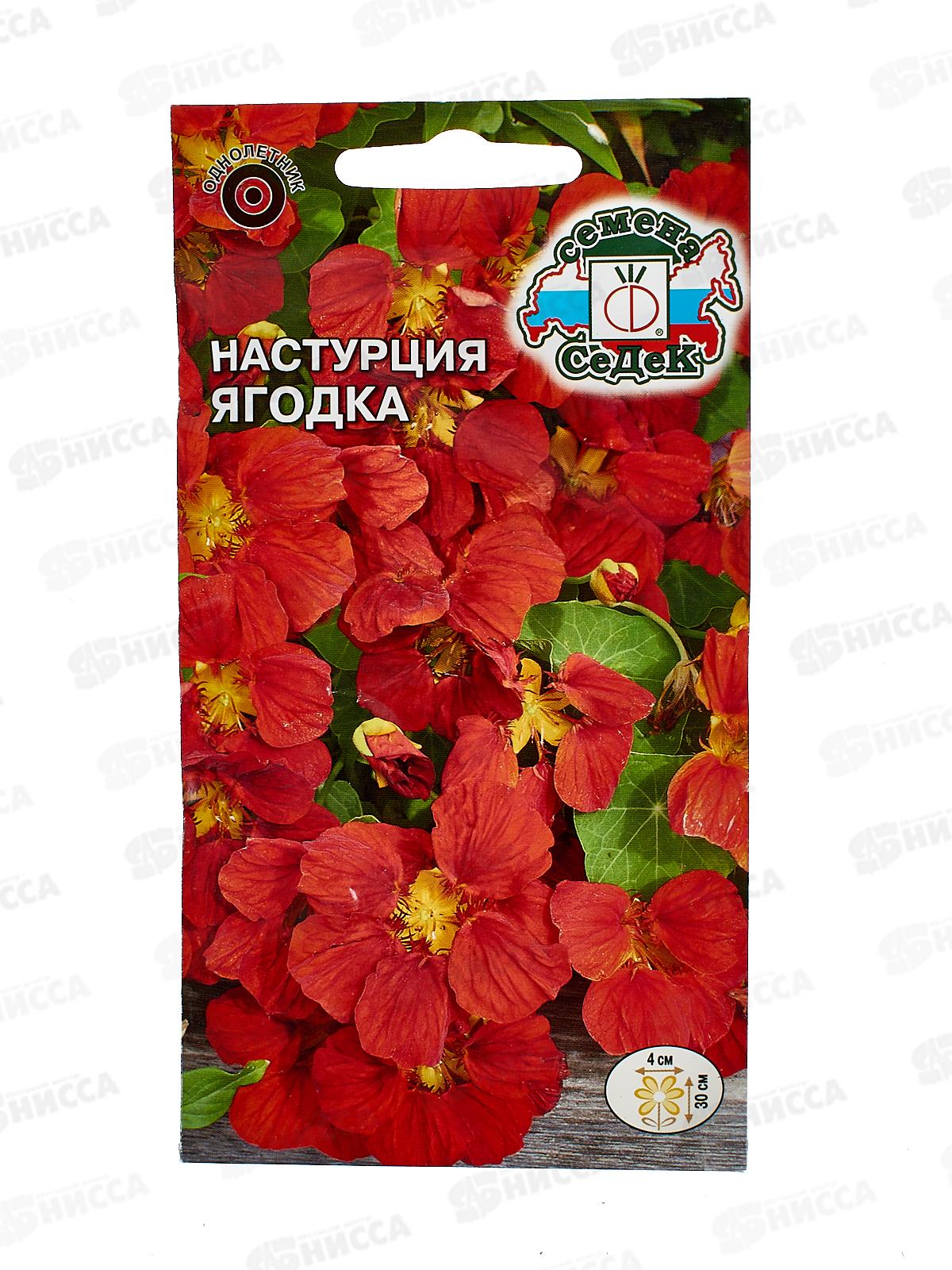 Настурция низкорослая Ягодка  (вишневая) (Евро,1)СеДек +