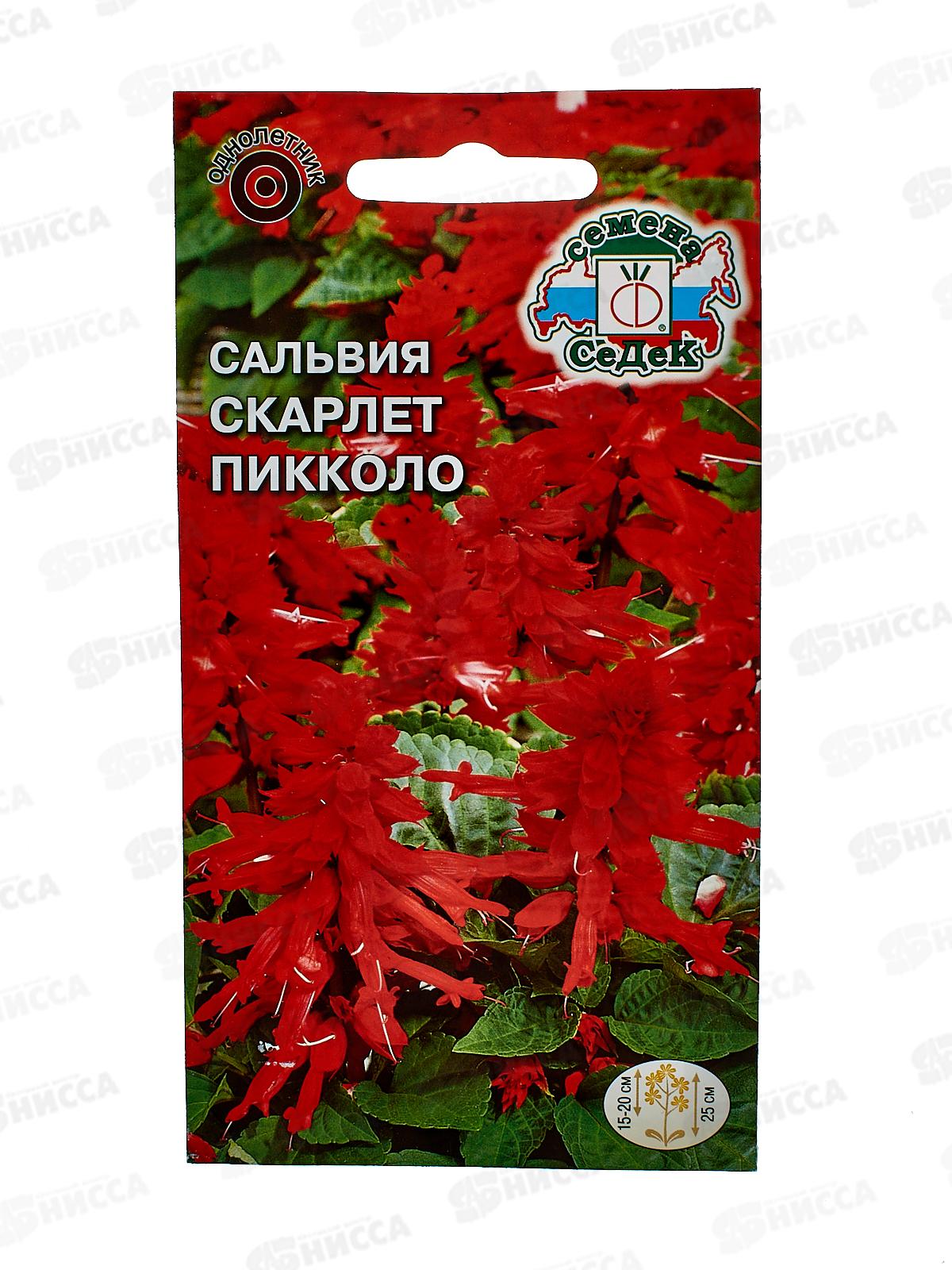 Сальвия Скарлет пиколло  (блестящая, низкорослая, красная) (Евро, 0,2) СеДек *10 +