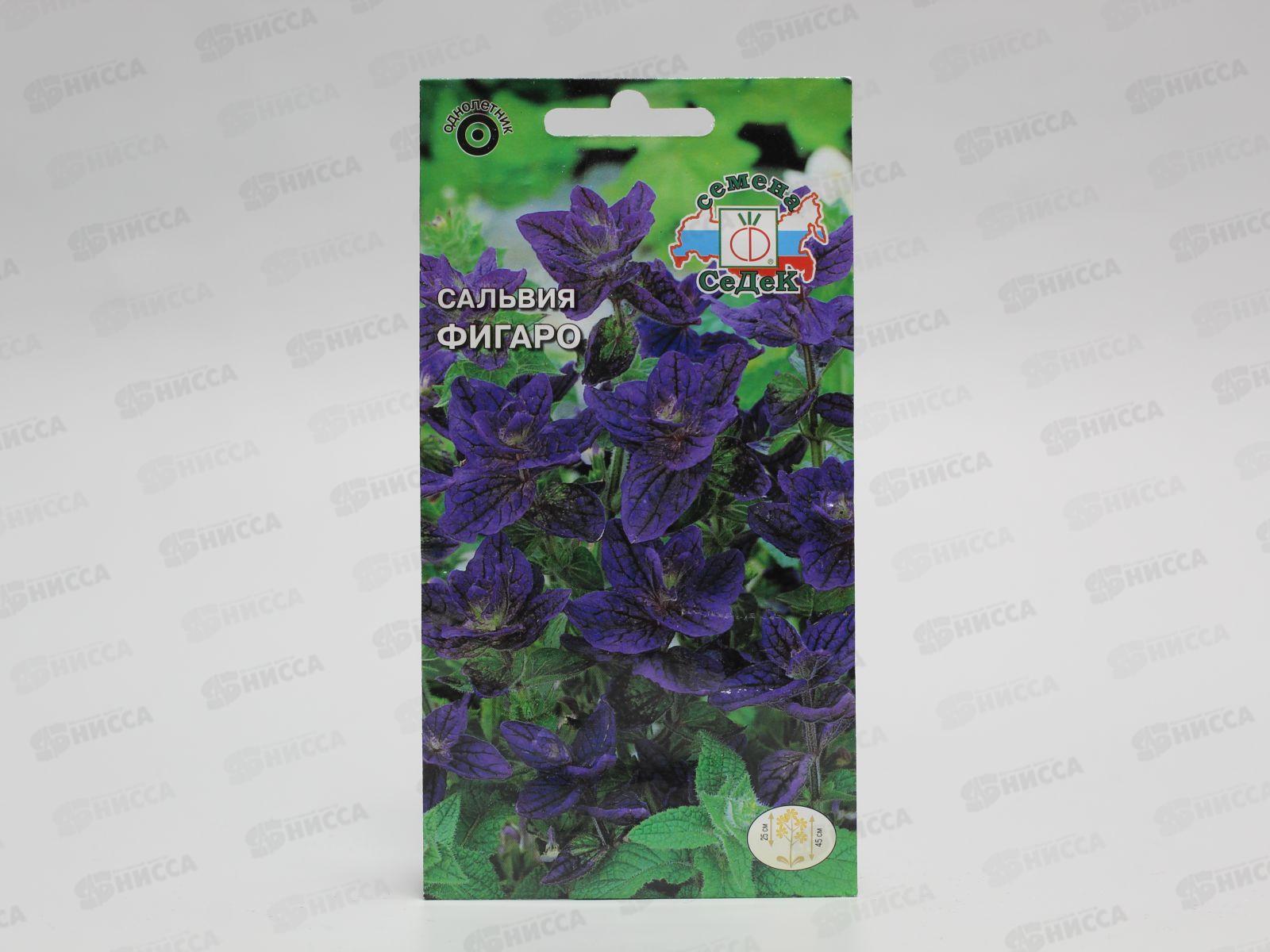 Сальвия Фигаро (хорминовая, темно-синяя) (Евро, 0,25) СеДек