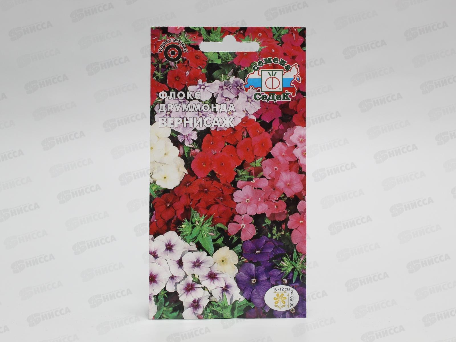 Флокс Друммонда Вернисаж  (смесь) (Евро, 0,2) СеДек *10 +