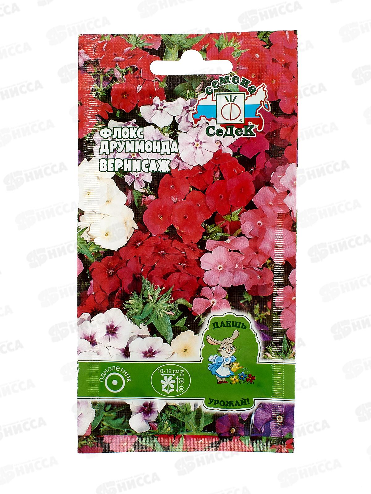 Флокс Друммонда Вернисаж  (смесь) (Евро, 0,2) СеДек *10 +