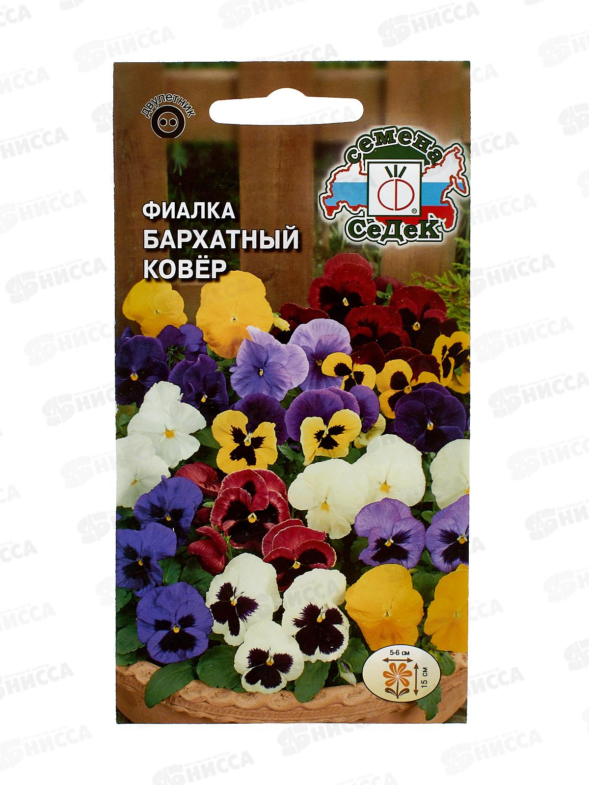 Фиалка Бархатный ковер  (Витрокка, смесь) (Евро 0,05) СеДек *10 +