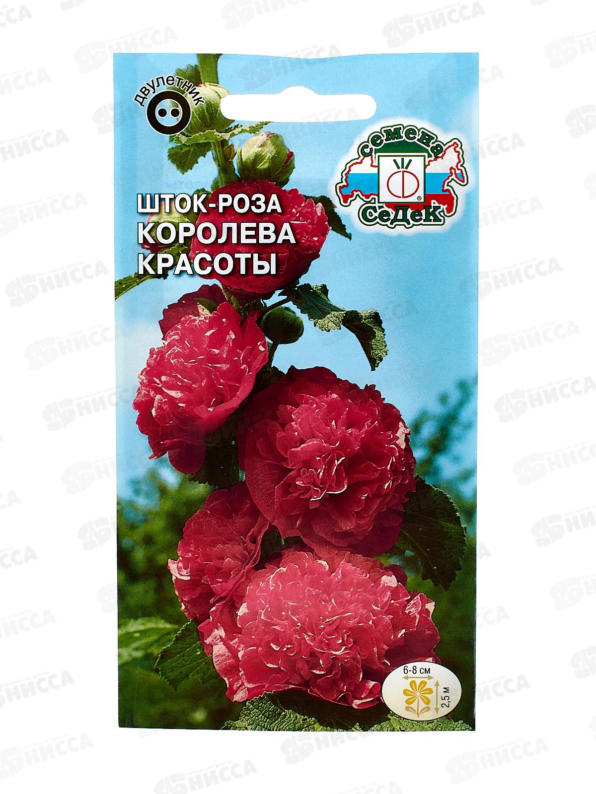 Шток-роза Королева красоты (ярко-розовая) (Евро, 0,1) СеДек +