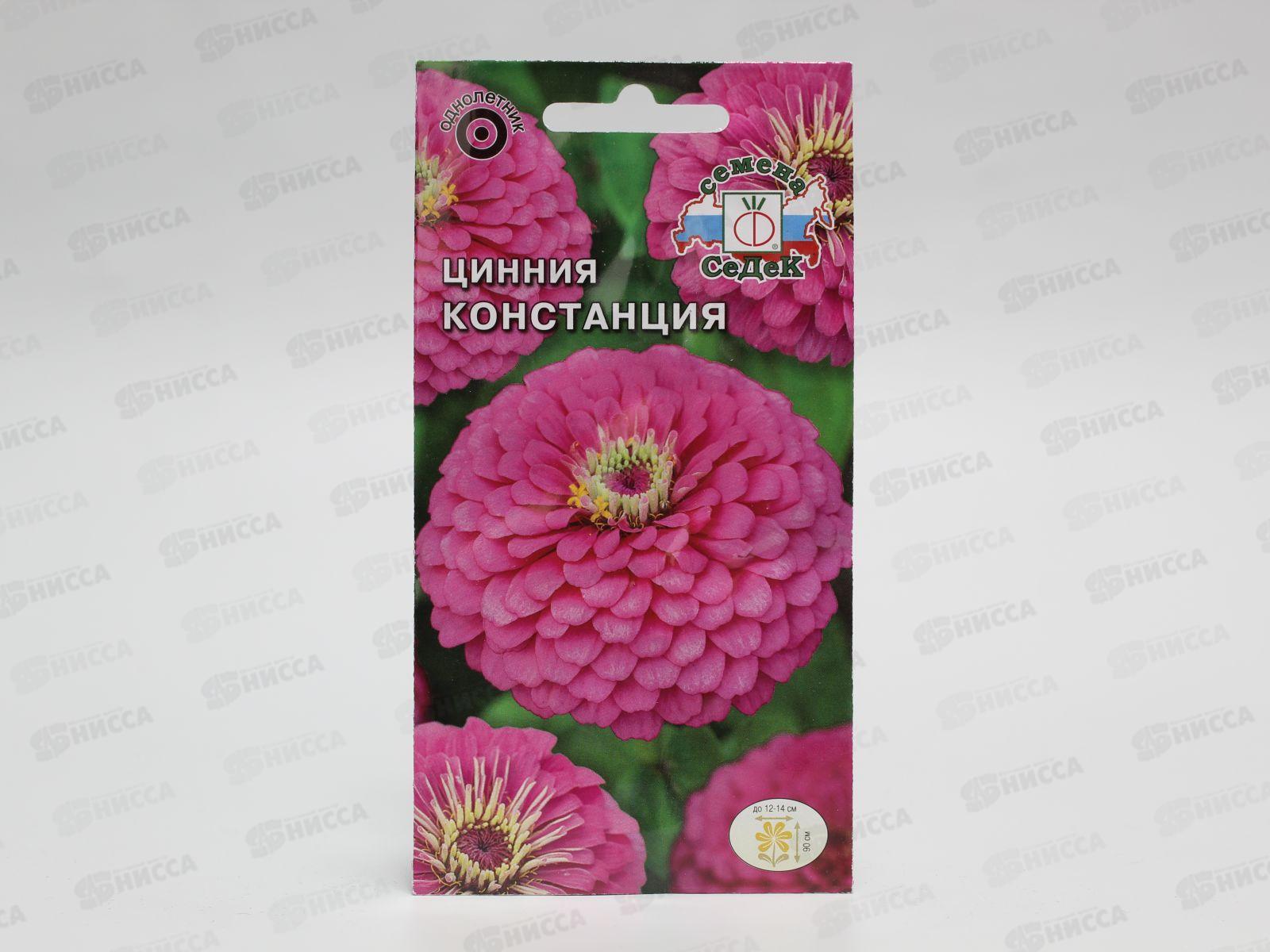 Цинния Констанция  (изящная, пурпурная) (Евро, 0,5) СеДек *10