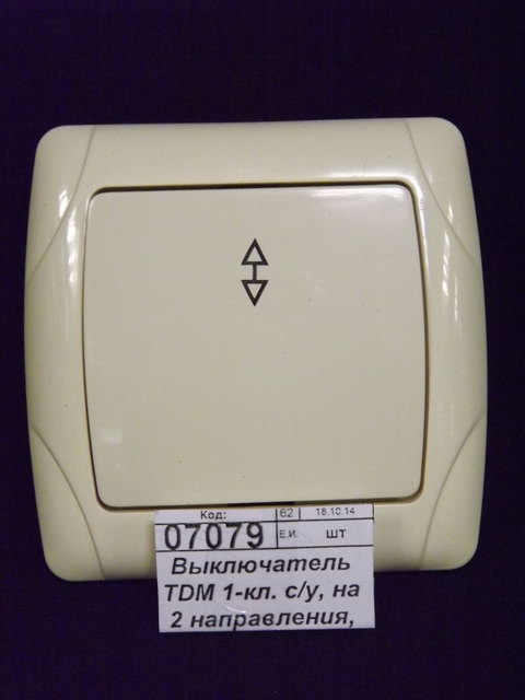 Выключатель TDM 1-клавиша скрытая установка, на 2напр., 10А сл.кость &quotОнега&quot, 0032