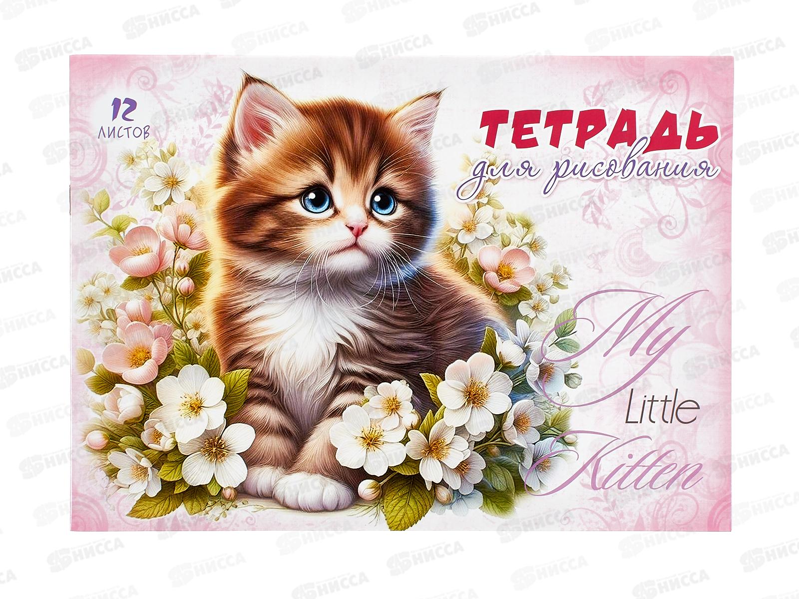 Альбом для рисования 12 листов ПГС Котята, офсетный *20