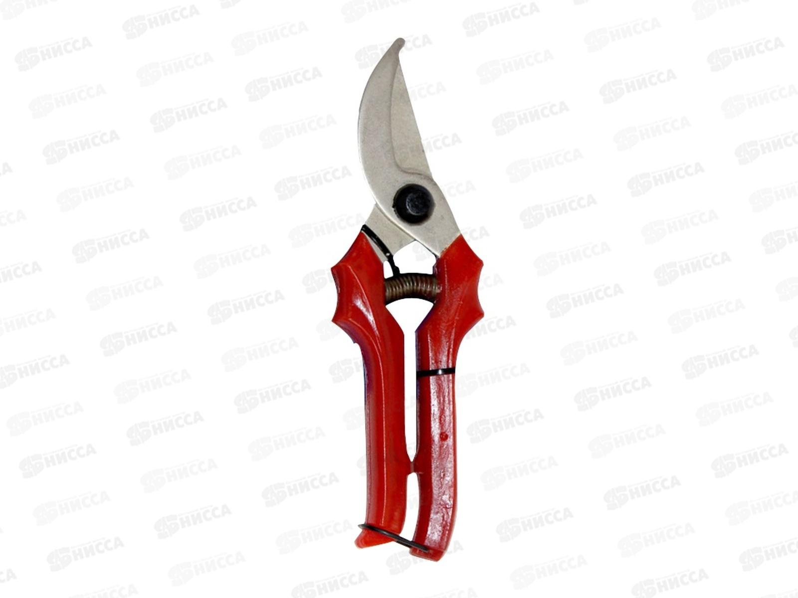 Секатор садовый 220мм никель С41-4Н (ТУМБОТИНО) *30