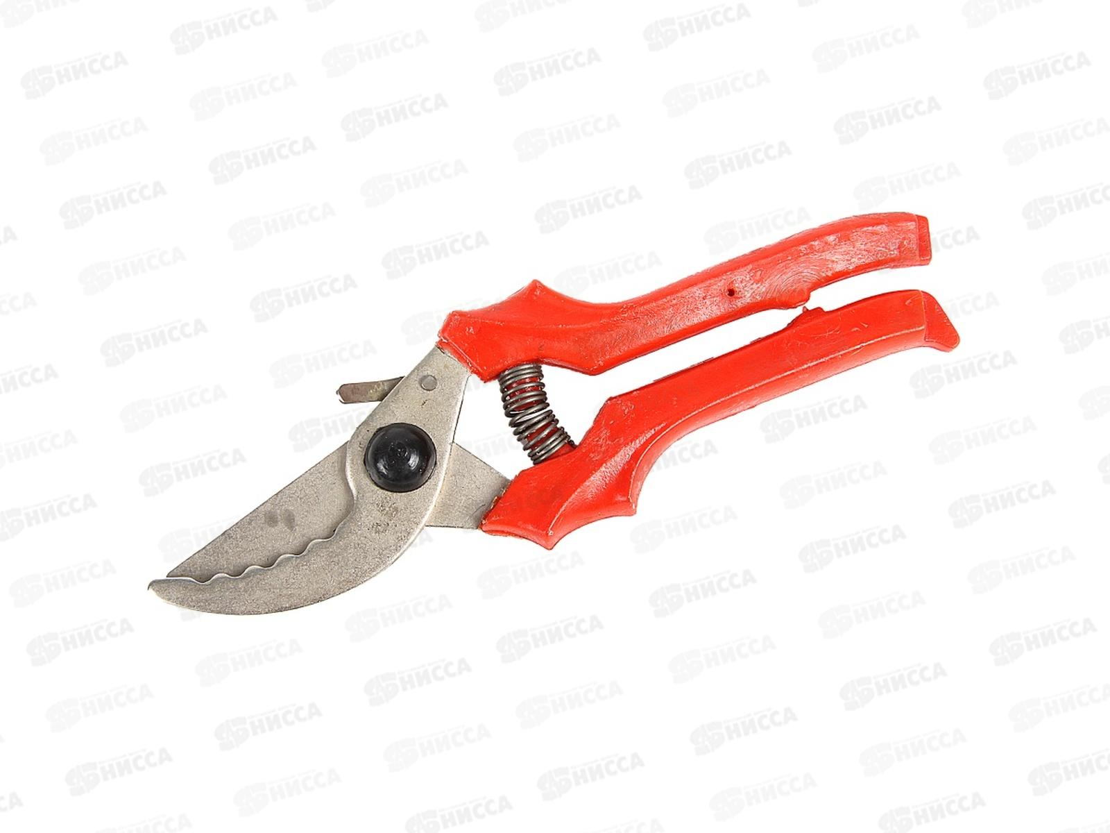 Секатор садовый 220мм никель С41-5Н (ТУМБОТИНО) *30