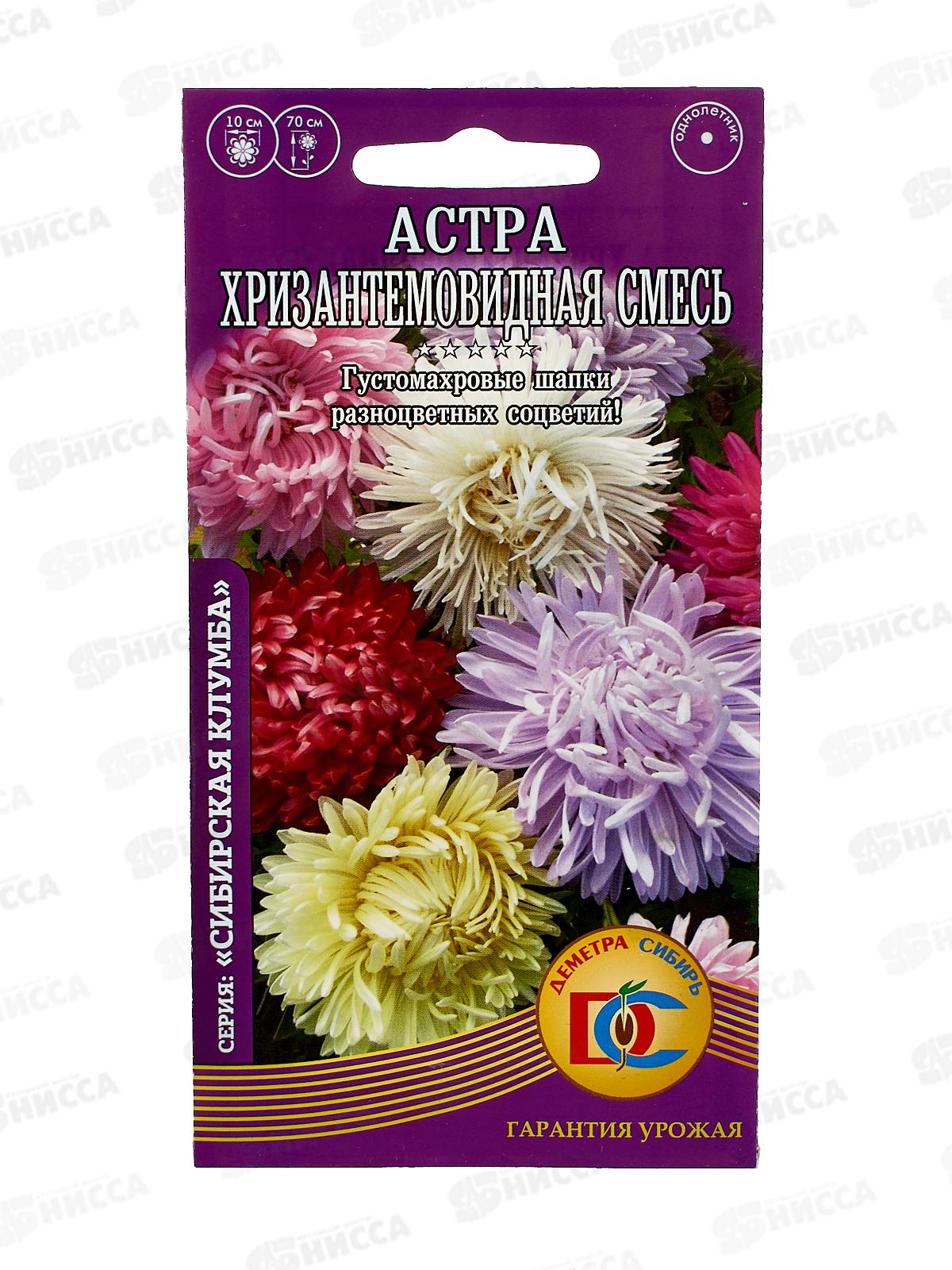 Астра Хризантемовидная смесь (0,2грамм) ДемСиб *10 +