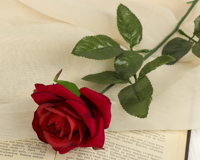 слабосегментированные