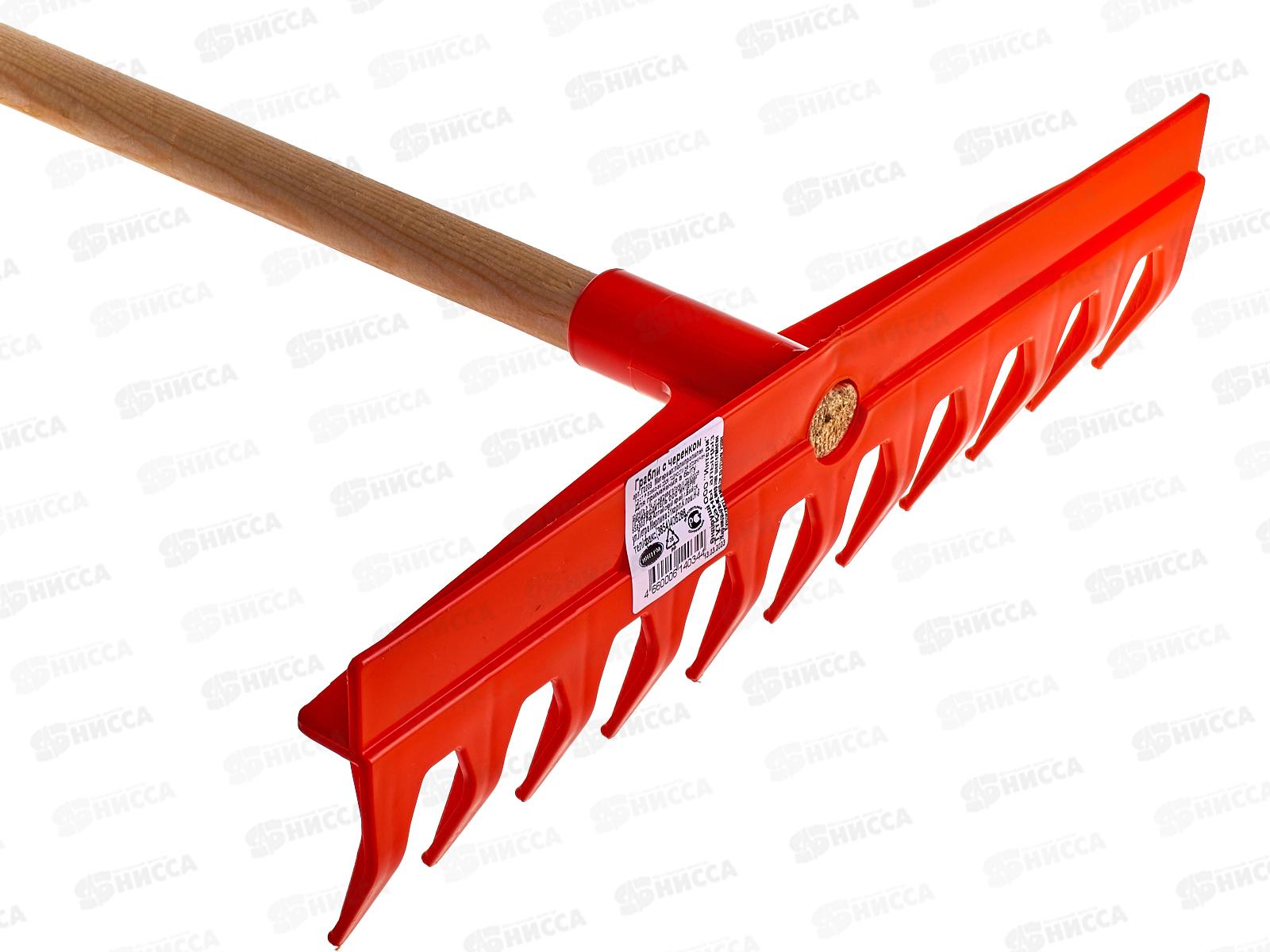 Грабли садовые с черенком *5 ИНТ