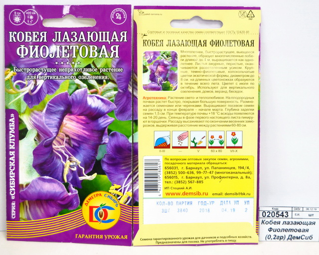 Кобея лазающая Фиолетовая (0,2 грамм) *10 ДемСиб