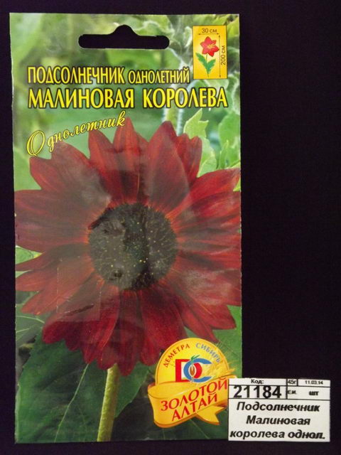 Подсолнечник Малиновая королева однол. (0,5гр) ДемСиб