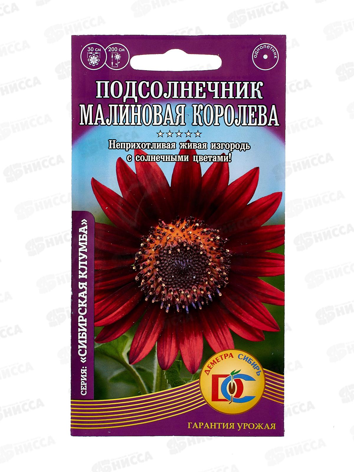 Подсолнечник Малиновая королева однол. (0,5гр) ДемСиб *10 +
