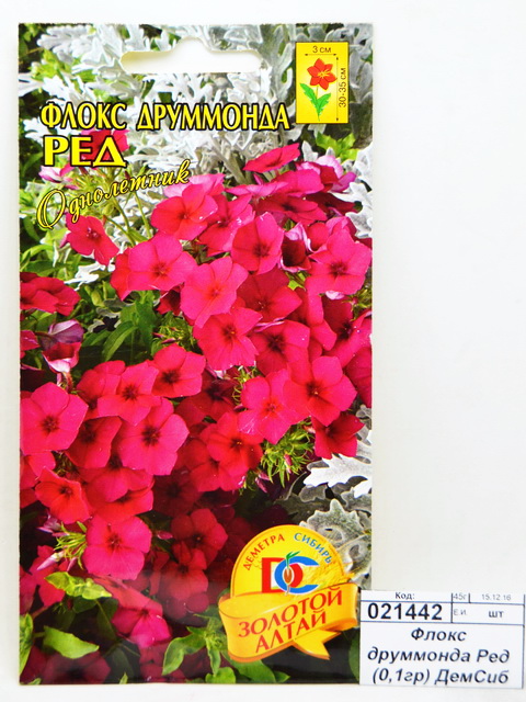 Флокс друммонда Ред (0,1грамм *10 ДемСиб +