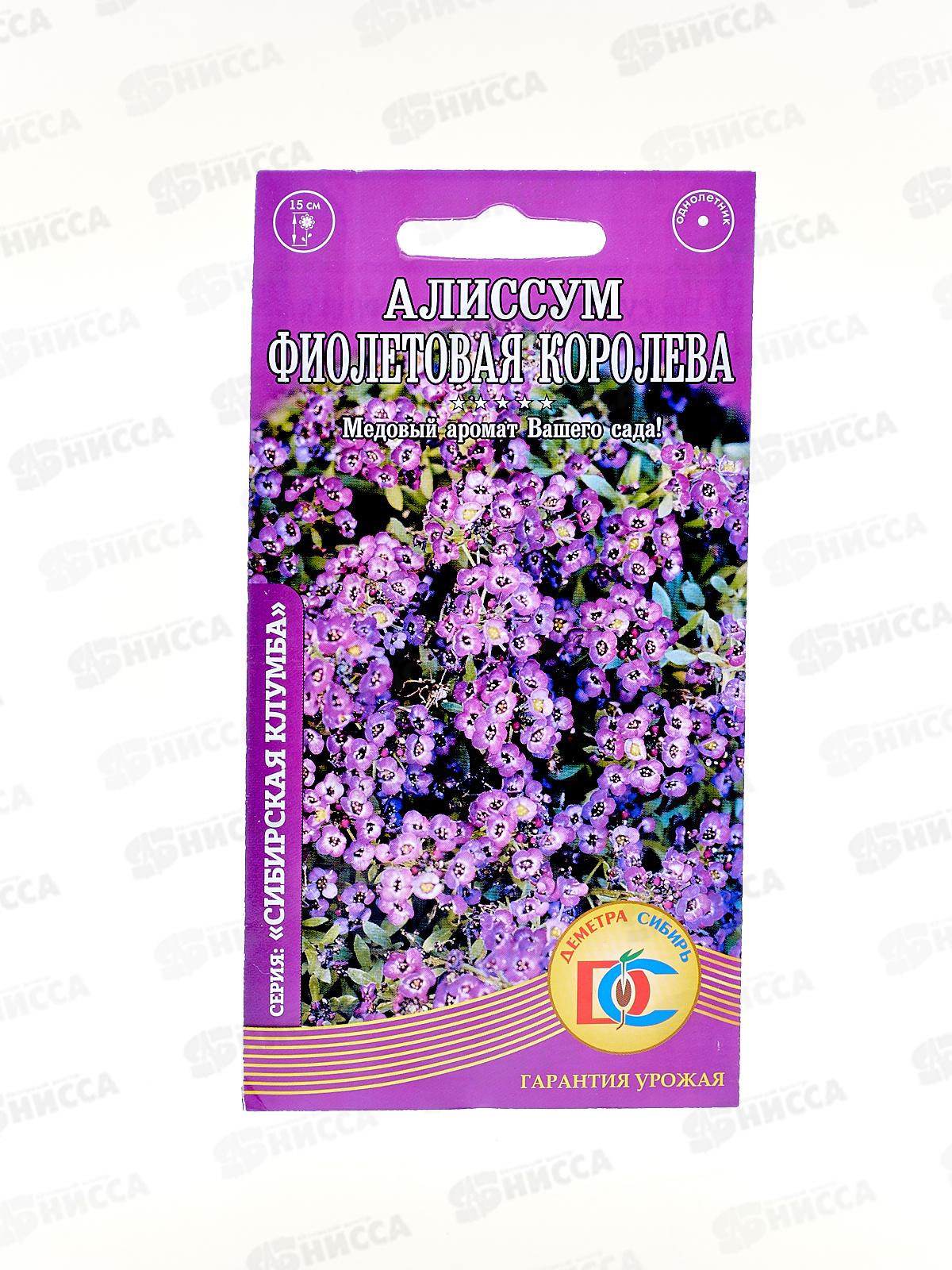 Алиссум Фиолетовая королева  (0,05гр) ДемСиб