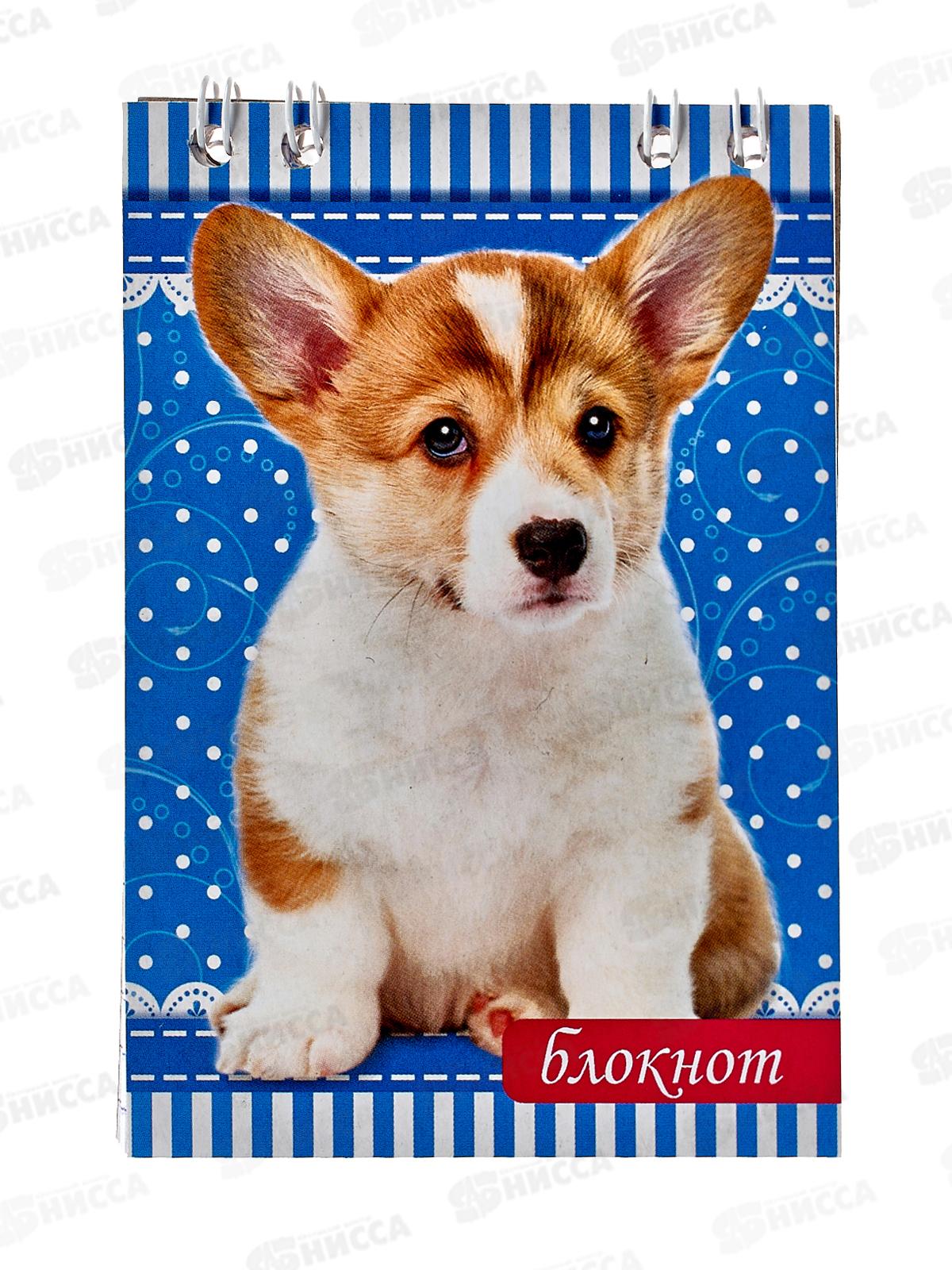 Блокнот 24л ПГС Собаки, 68*98, А7, глит. *24