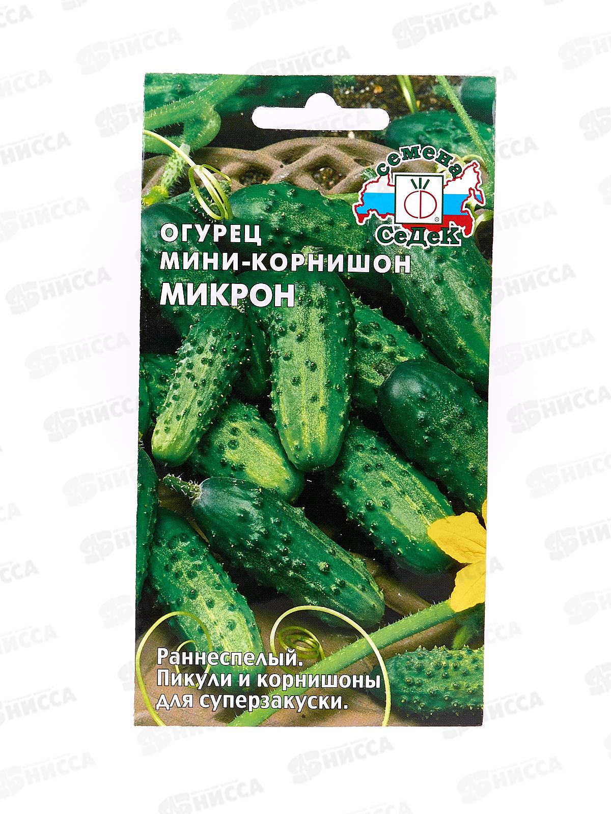 Огурец Микрон (Евро, 0,5  9148) СеДек +