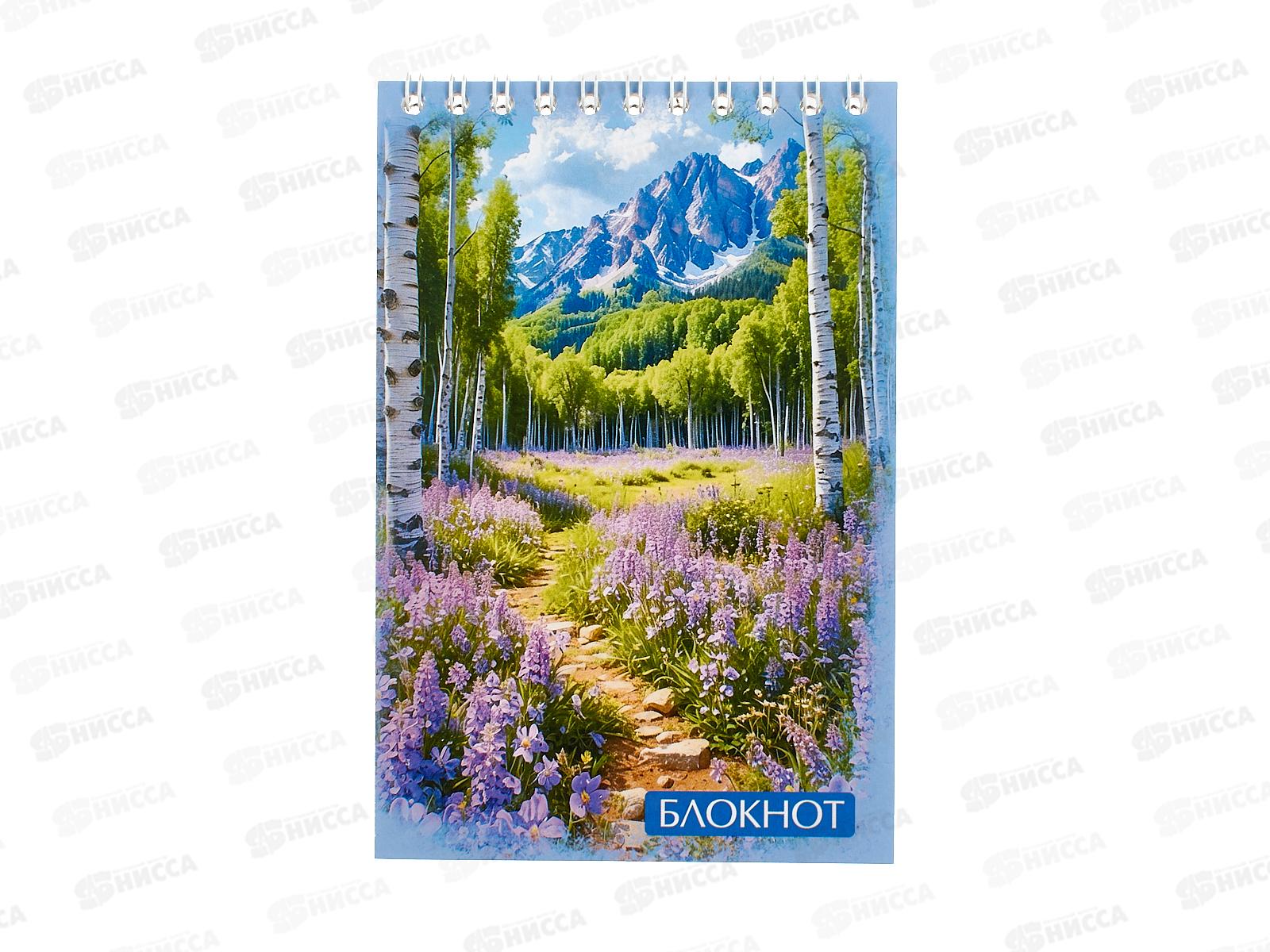 Блокнот 48листов ПГС Природа, 100*150,на гребне. *12