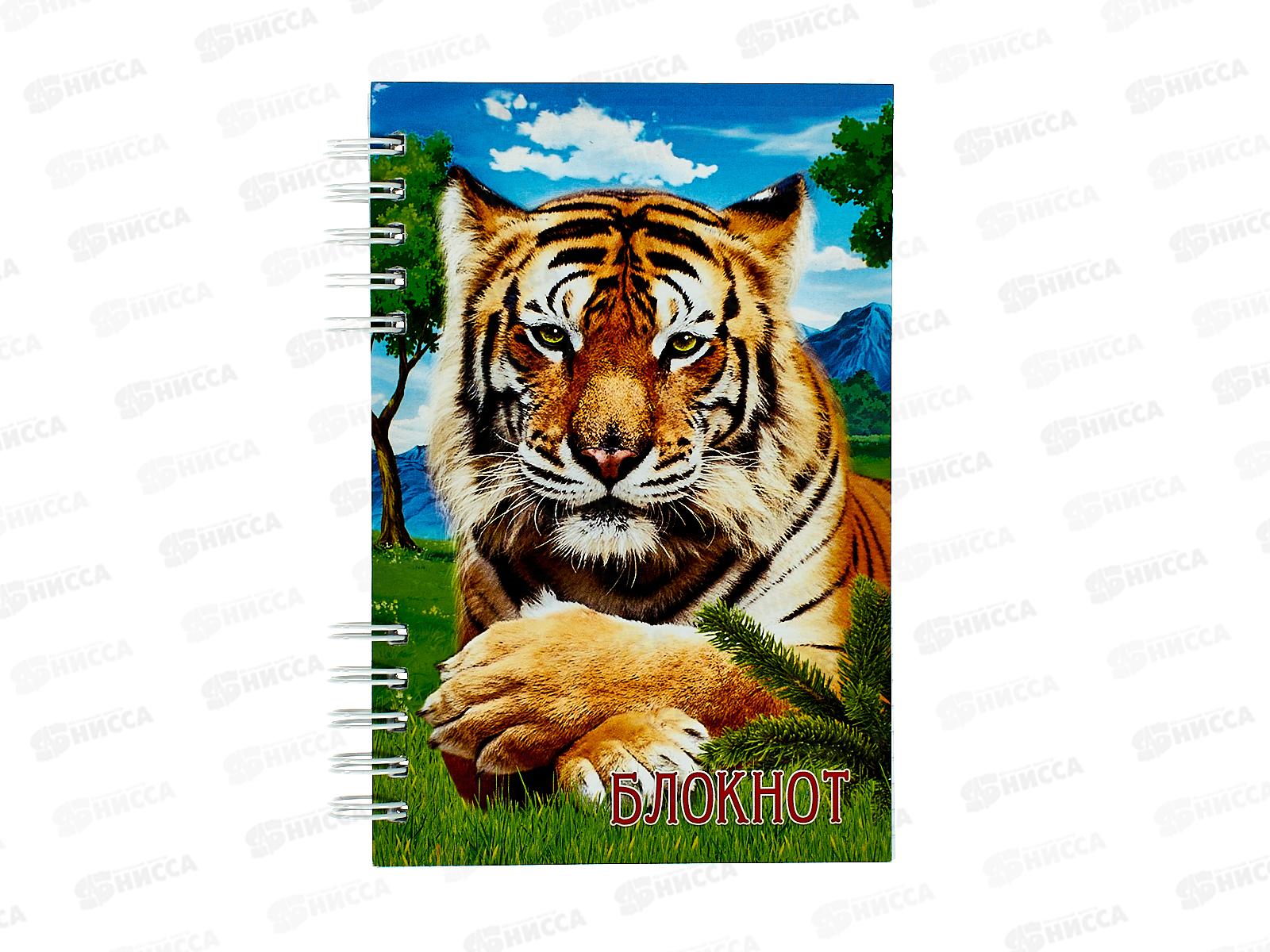 Блокнот120листов ПГС NB Жив мир, 100*150, лакированный. *6