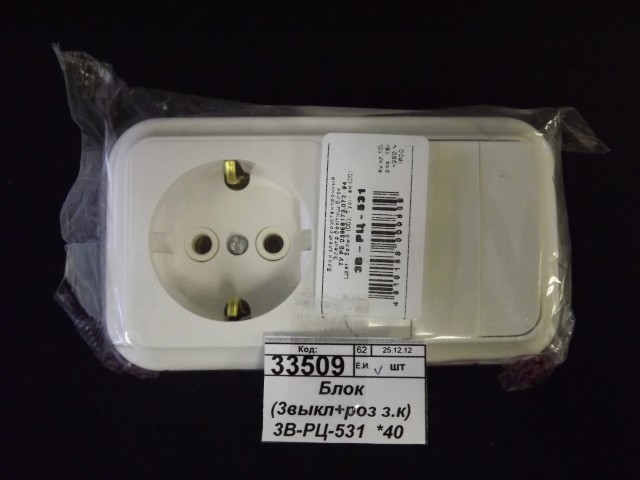 Блок (3выключателя+розетка с заземляющим контактом) 3В-РЦ-531  *40  531  ш