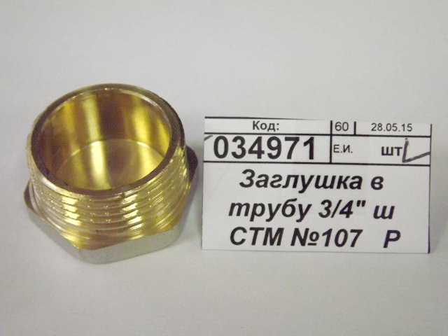 Заглушка в трубу 3/4&quot штуцер СТМ *10/250