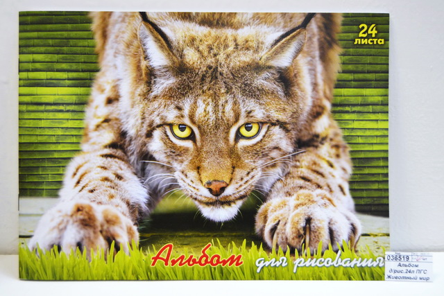 Альбом для рисования 24 листа ПГС Животный мир *20