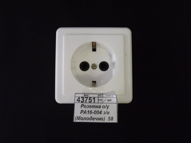Розетка о/у РА16-004 з/к (Молодечно)  58    *45   ш