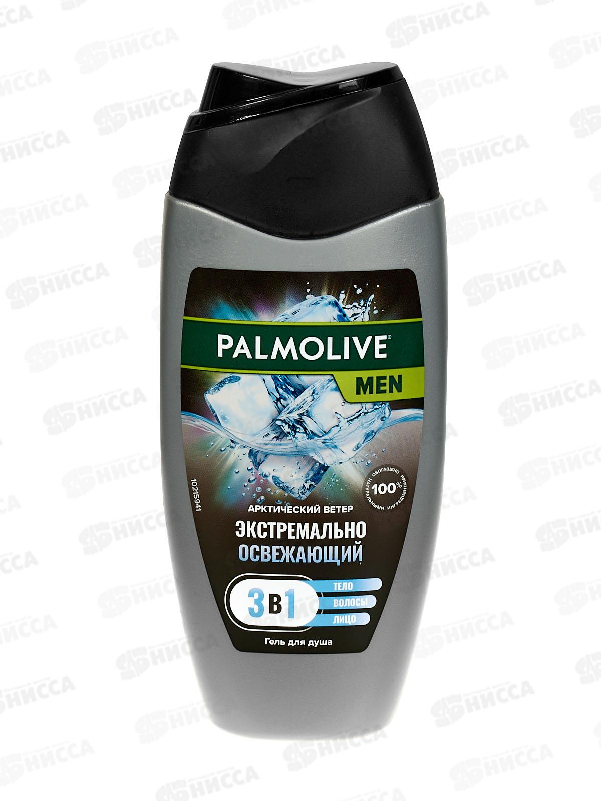 ПАЛМОЛИВ душ-гель 250мл 2в1 для мужчин Арктический ветер *12