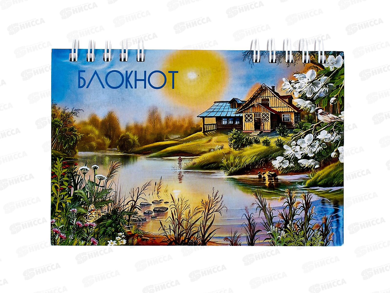 Блокнот120листов ПГС NB Природа, 100*150, лакированный.,на гребне. *6