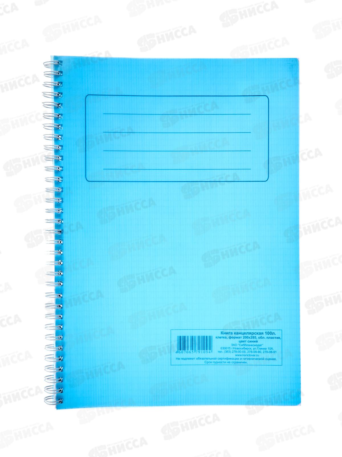 Книга канцелярская 100л клетка СБ синяя пластиковая, на гребне *5