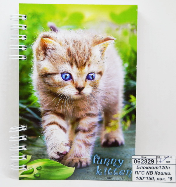 Блокнот120листов ПГС NB Кошки. 100*150, лакированный. *6