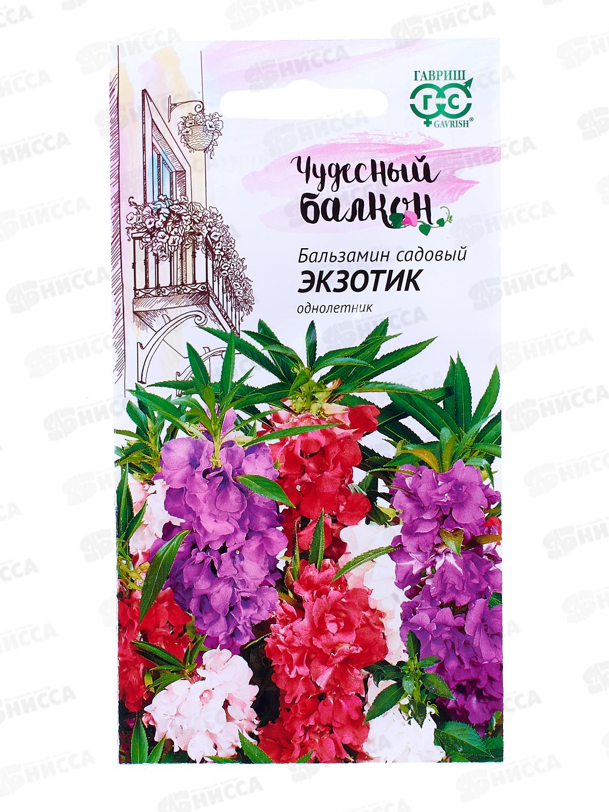 Бальзамин Экзотик карликовый 0,1 грамм  серия Чудесный балкон Н10  *10