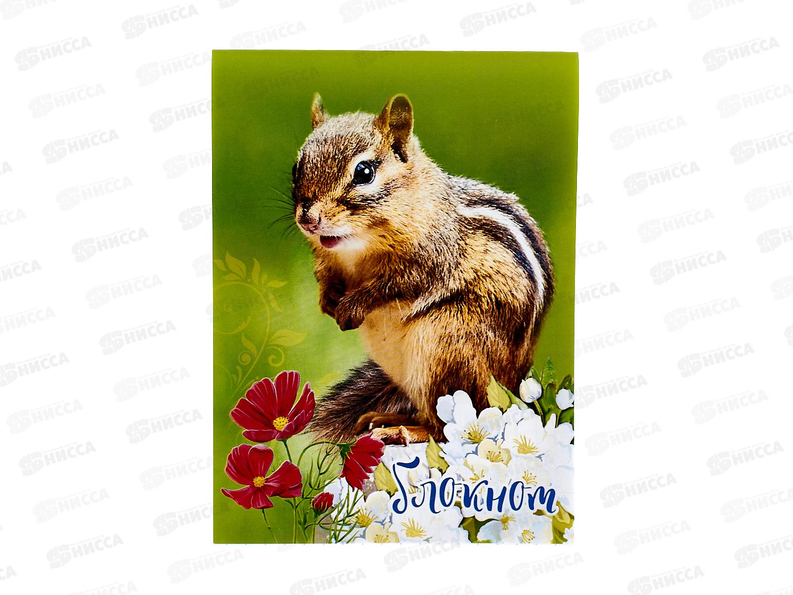 Блокнот 32листа ПГС Животный мир, 95*130 *24