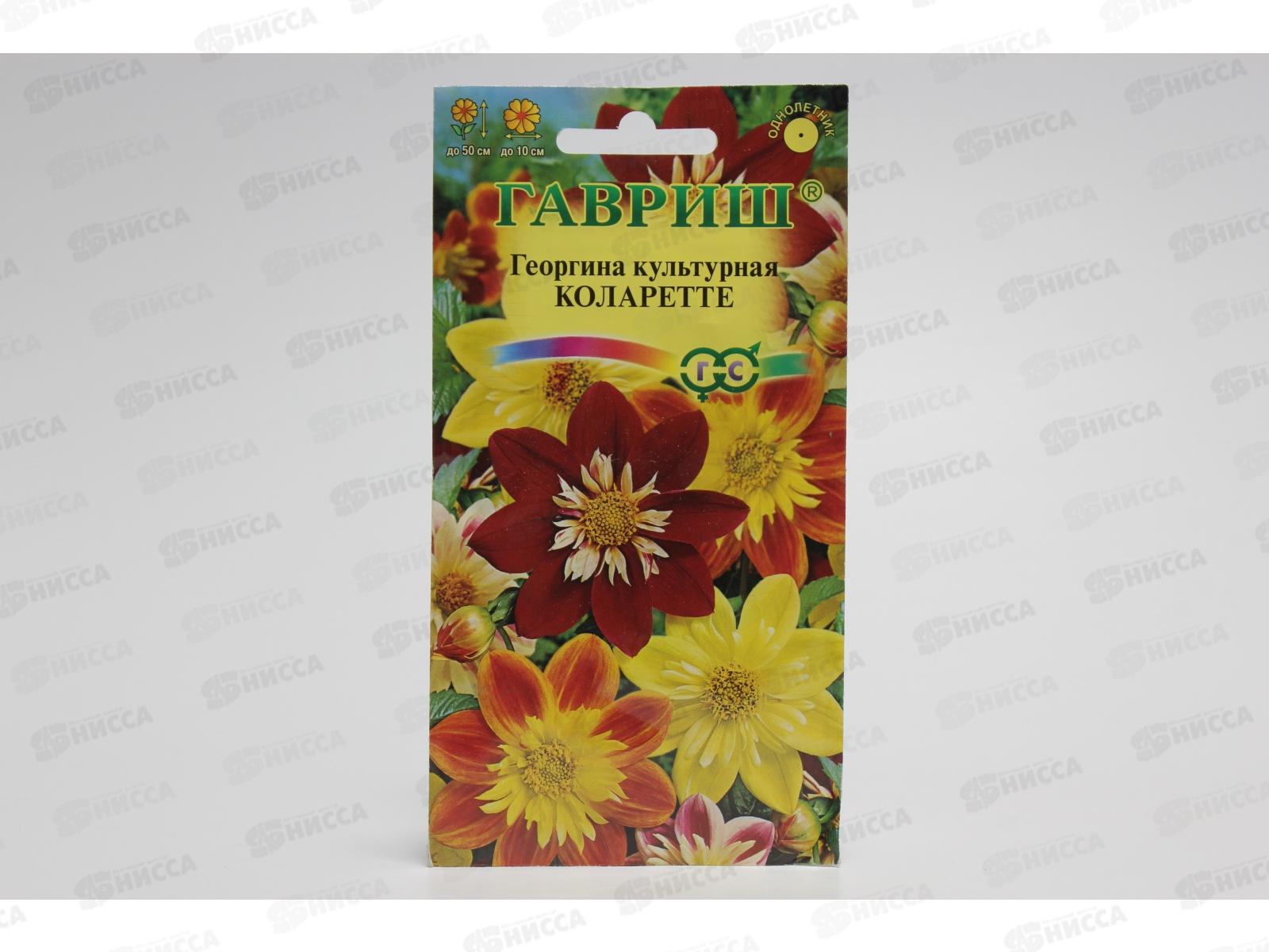 Георгина Коларетте 0,2 грамма  Н12  *10 +