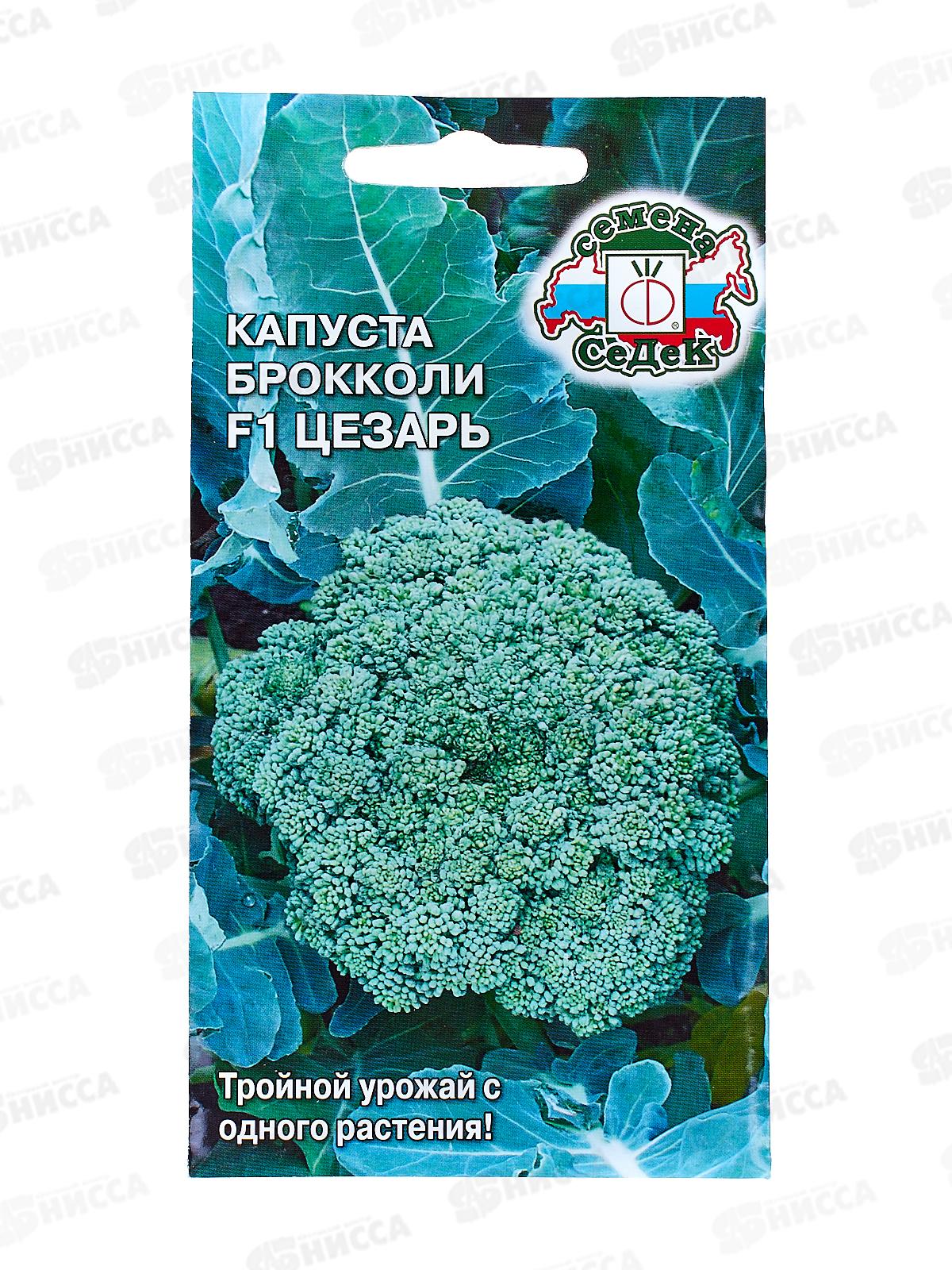 Капуста Цезарь F1 БРОККОЛИ (Евро, 0,3  9861) СеДек