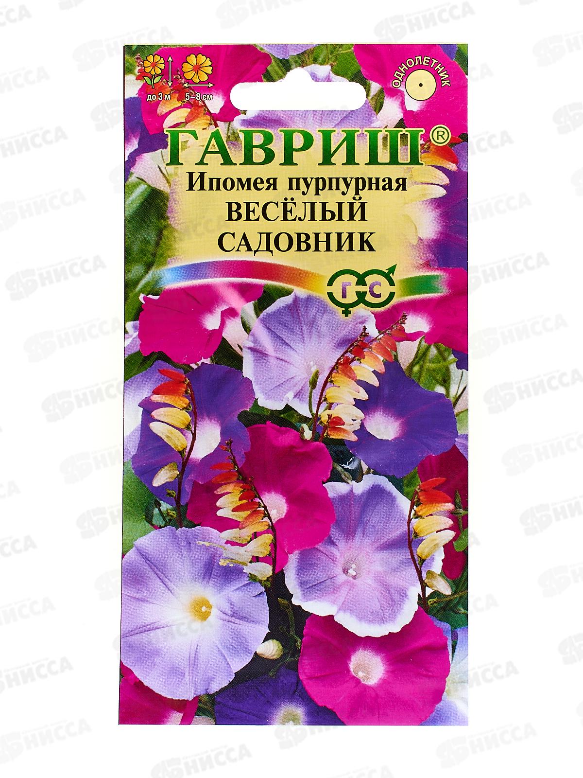 Ипомея Веселый садовник 0,5 грамм   *10