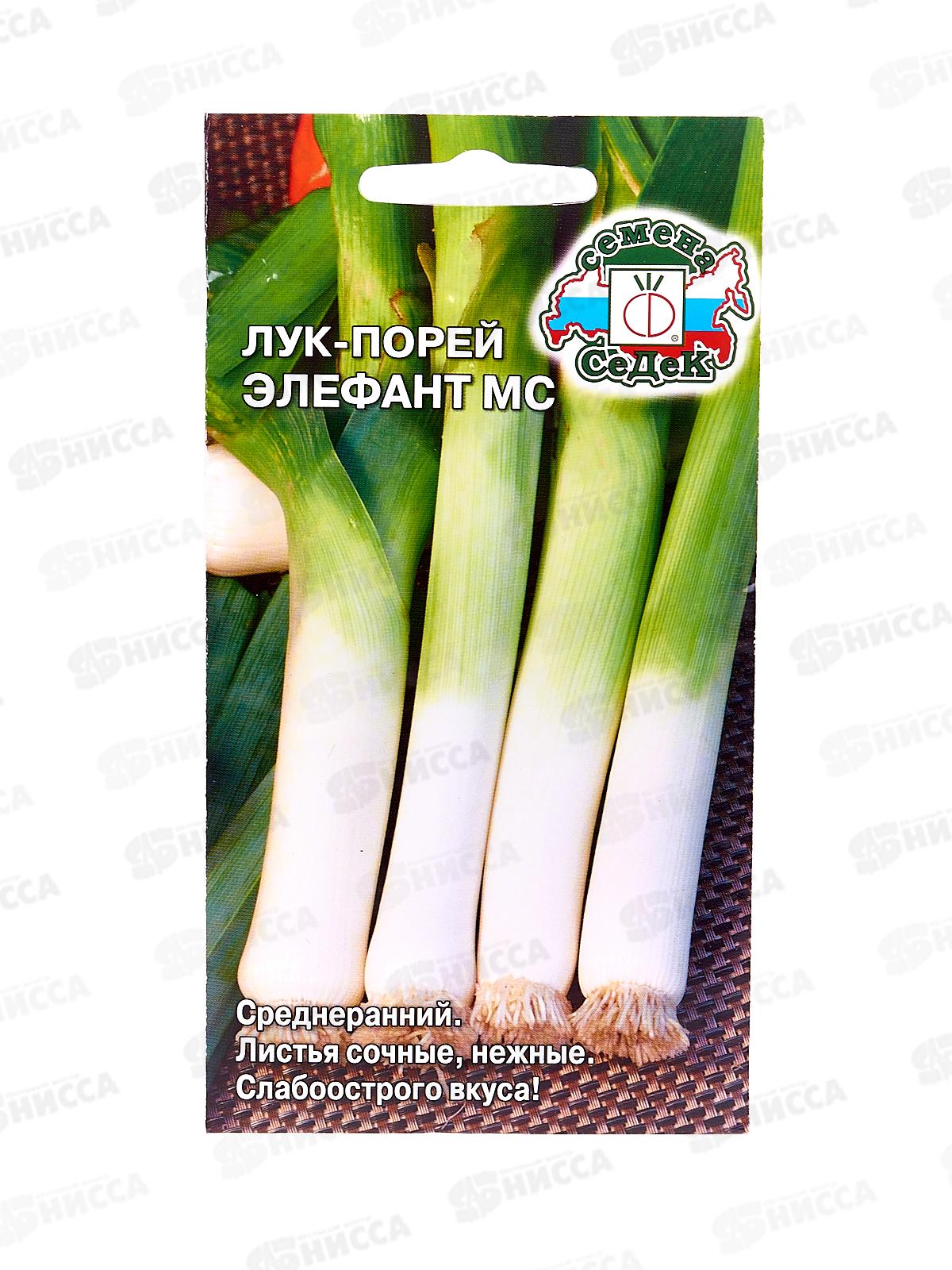 Лук Элефант МС порей (Евро, 1  6700) СеДек СРОК ДО 09.24