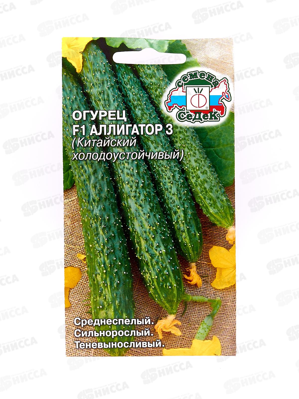 Огурец Аллигатор 3 F1 (Евро, 0,2) СеДек *10