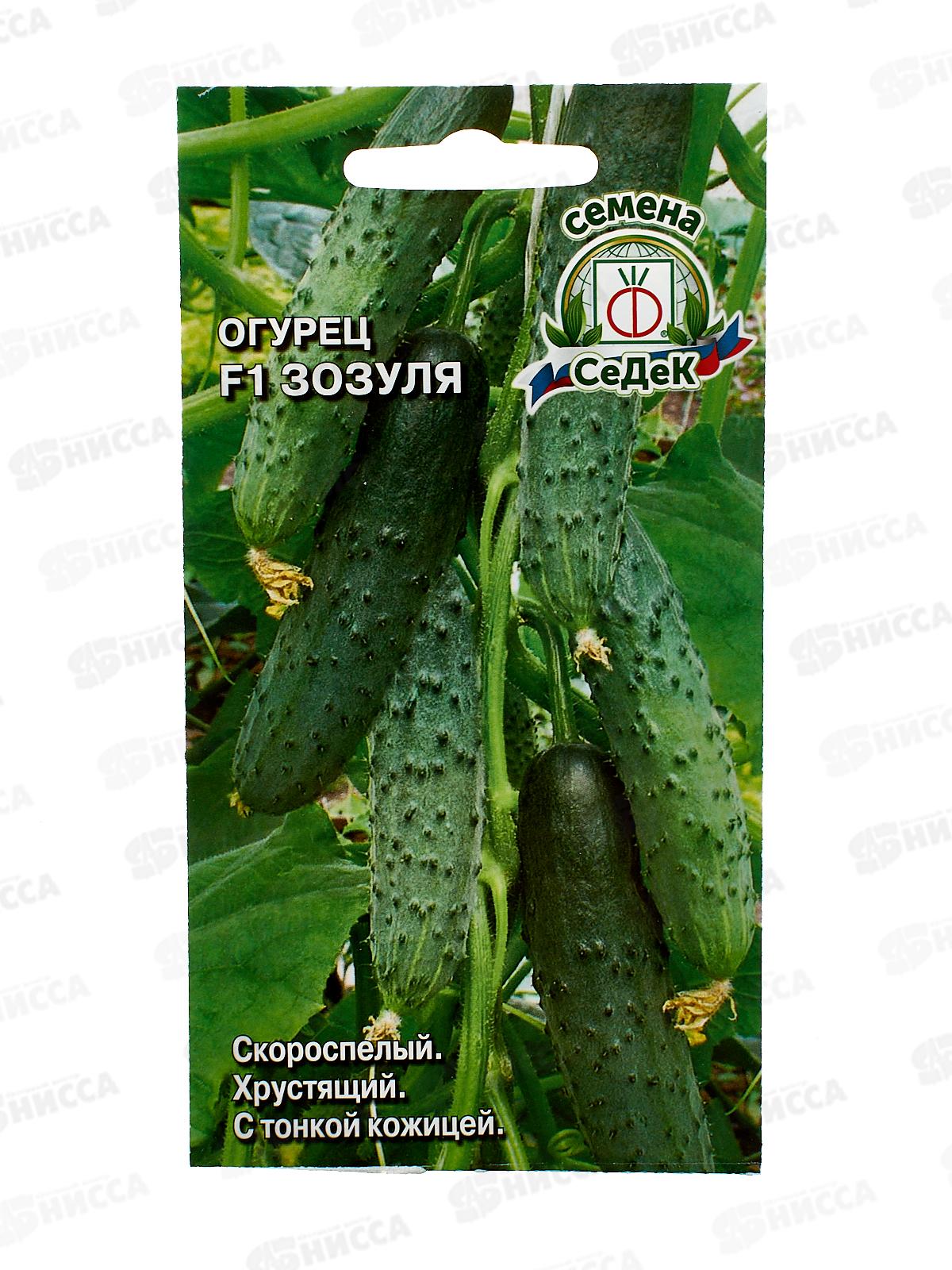 Огурец Зозуля F1 (Евро, 0,2  7475) СеДек +